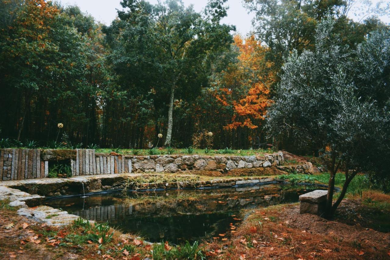 Quinta Das Fontes - Alojamento Rustico Local E Turismo Rural São Pedro do Sul Buitenkant foto