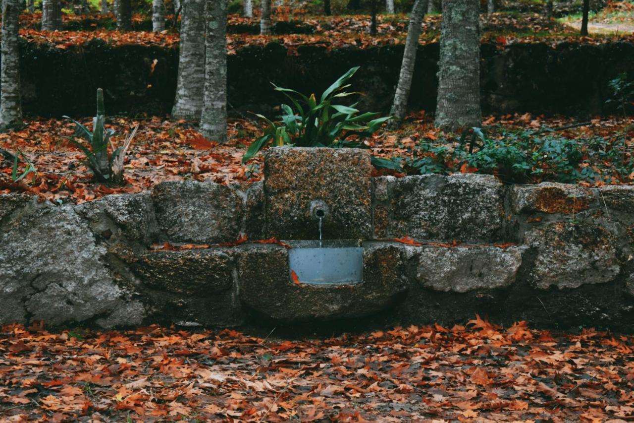 Quinta Das Fontes - Alojamento Rustico Local E Turismo Rural São Pedro do Sul Buitenkant foto