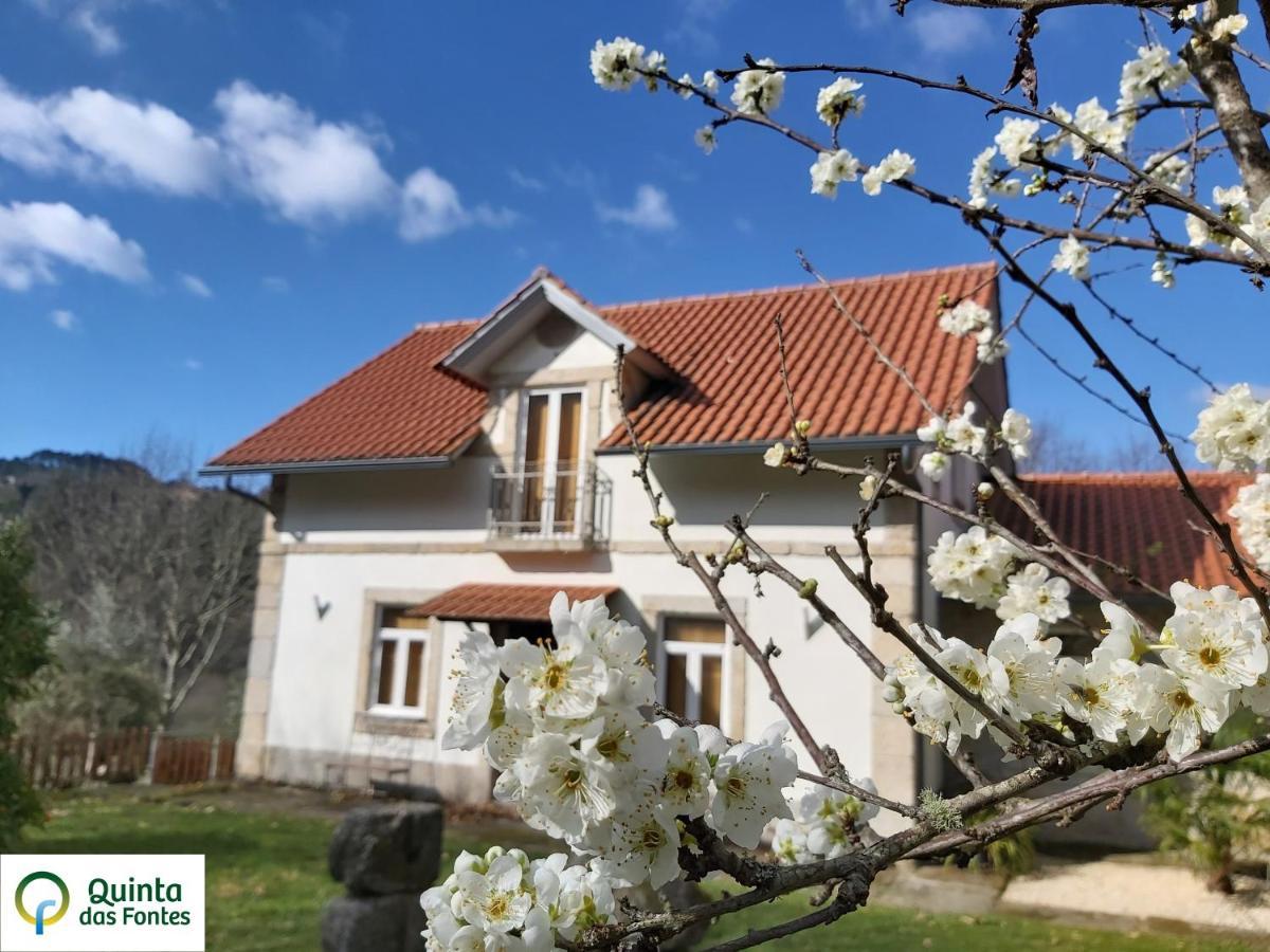 Quinta Das Fontes - Alojamento Rustico Local E Turismo Rural São Pedro do Sul Buitenkant foto