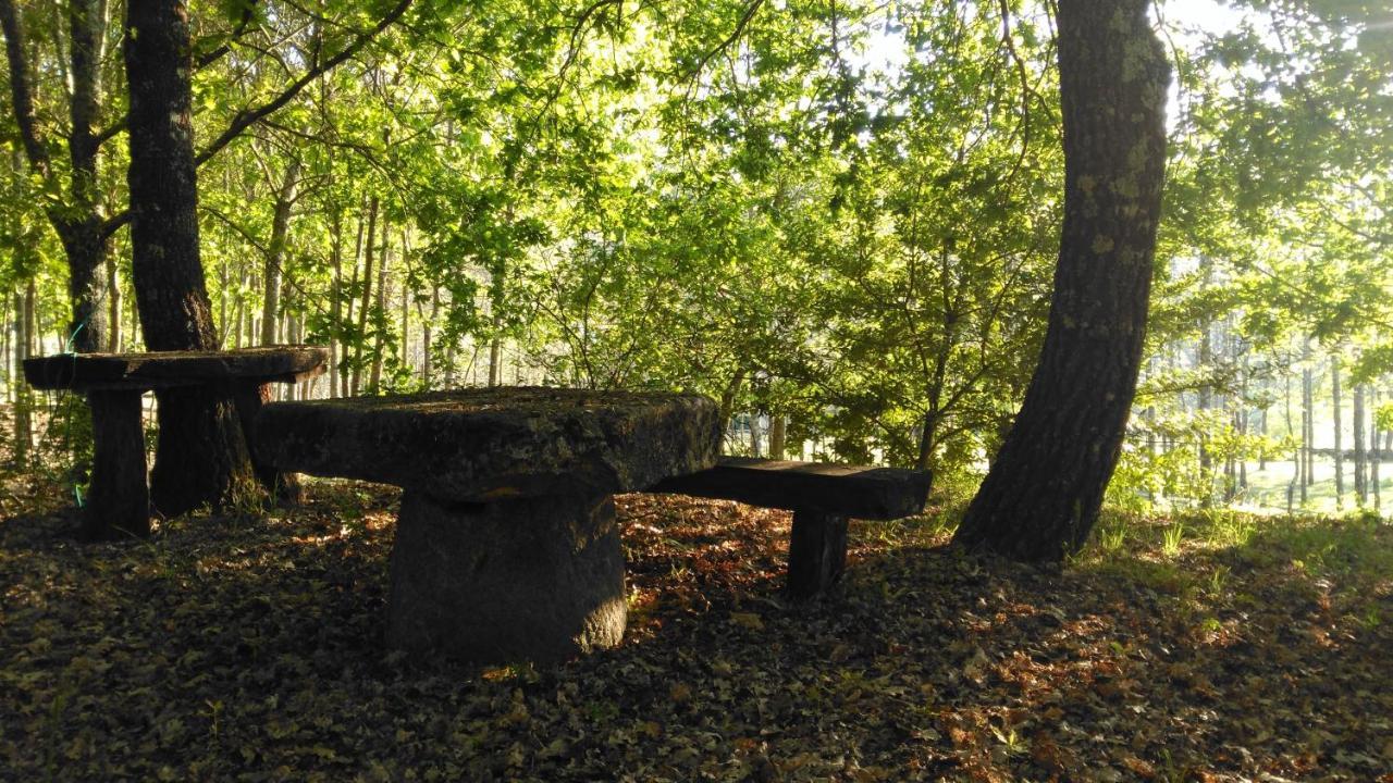 Quinta Das Fontes - Alojamento Rustico Local E Turismo Rural São Pedro do Sul Buitenkant foto