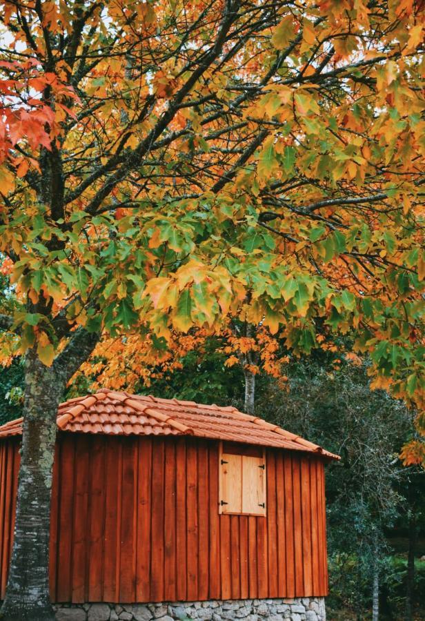 Quinta Das Fontes - Alojamento Rustico Local E Turismo Rural São Pedro do Sul Buitenkant foto
