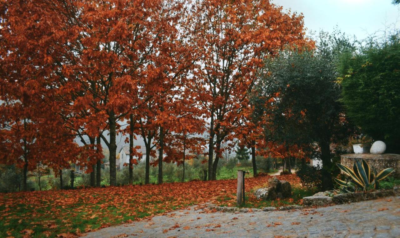 Quinta Das Fontes - Alojamento Rustico Local E Turismo Rural São Pedro do Sul Buitenkant foto
