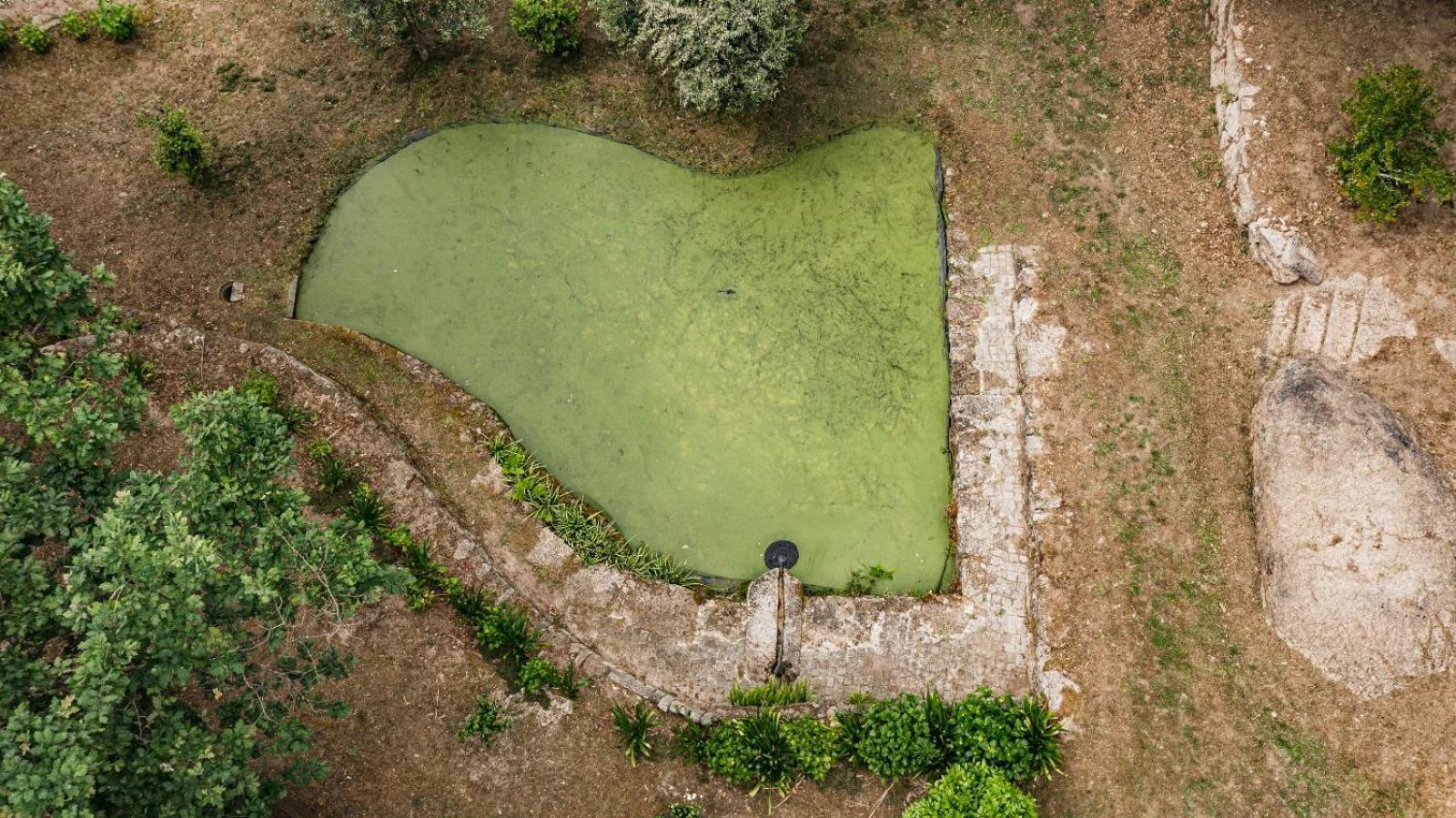 Quinta Das Fontes - Alojamento Rustico Local E Turismo Rural São Pedro do Sul Buitenkant foto