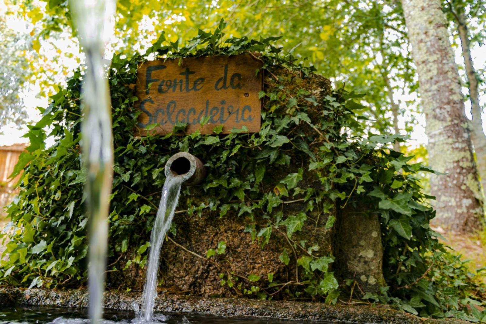 Quinta Das Fontes - Alojamento Rustico Local E Turismo Rural São Pedro do Sul Buitenkant foto