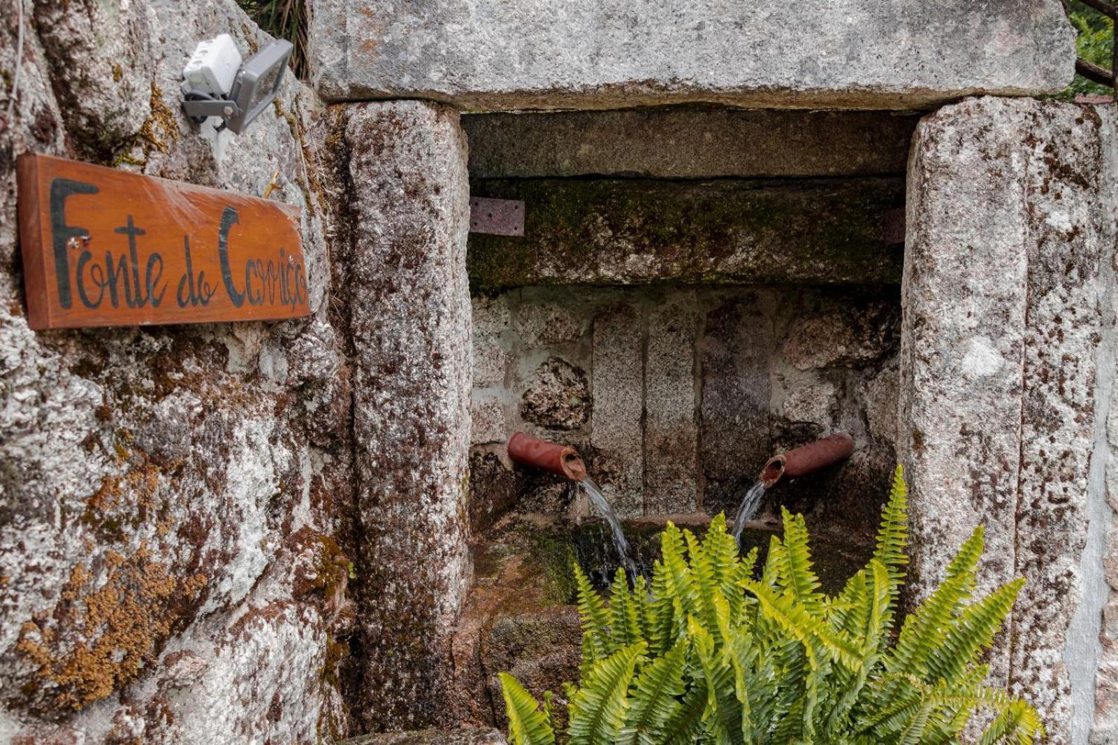 Quinta Das Fontes - Alojamento Rustico Local E Turismo Rural São Pedro do Sul Buitenkant foto